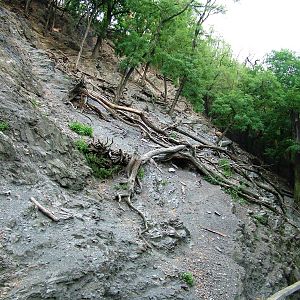 Tur Exhibit at Prague, 25/08/12