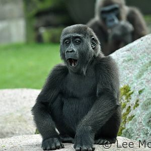 Meisie growing up fast