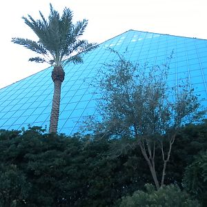 Aquarium 2010 - exterior