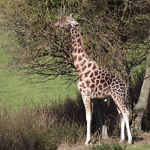 Fantastic African valley