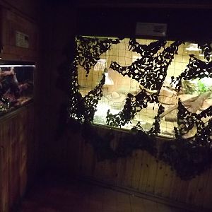 Crocodile exhibit at Knowsley Safari Park 08/09/12