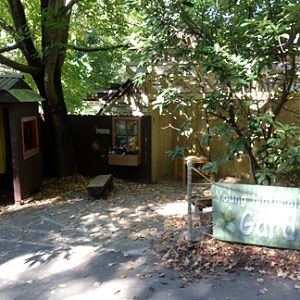 Young Naturalist's Garden