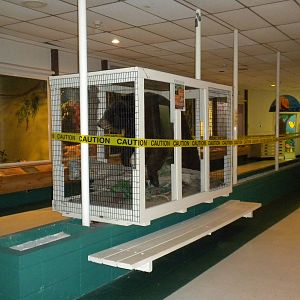 2010 - Reptile House