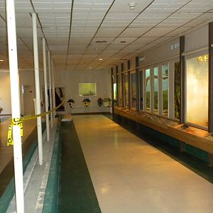 2010 - Reptile House