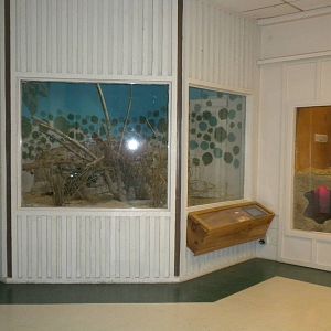 2010 - Reptile House