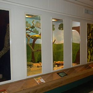 2010 - Reptile House