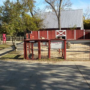 2010 - Petting Zoo