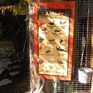 2010 - Walk-through aviary species list