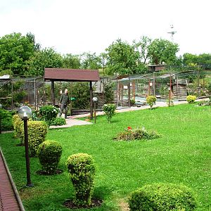 Entrance Pathway at Autocentrum Boura (Dymokury), 26/08/12