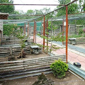 Pheasant Aviaries at Autocentrum Boura (Dymokury), 26/08/12