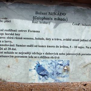 Signage Example at Autocentrum Boura (Dymokury), 26/08/12