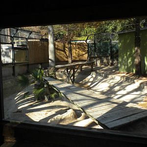 2010 - Black Bear exhibit