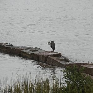 2010 - Gulf of Mexico