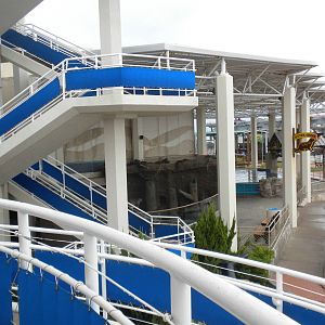 2010 - Outside, stairs, otters