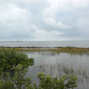 2010 - Gulf of Mexico