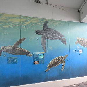 2010 - Turtle mural