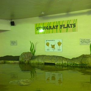 2010 - Stingray Flats