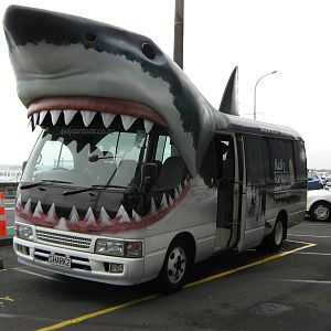 the Shark Bus