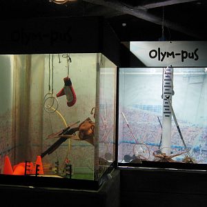 octopus tanks