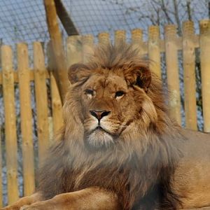 callums wingham pics