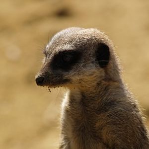 callums wingham pics