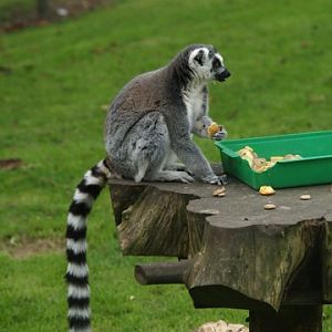 callums wingham pics