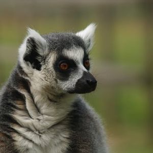 callums wingham pics