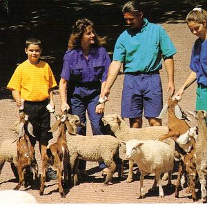 Catskill Game Farm Postcard
