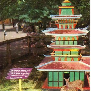 Catskill Game Farm Postcard