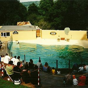 Sealion Pool 11th September 2000