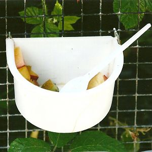 Food for the public to feed Chipmunks 3rd August 2012