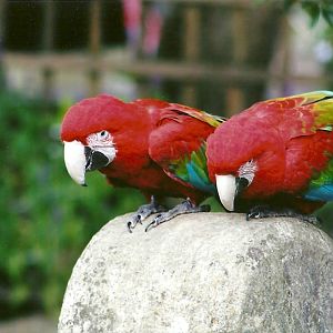 Ready for take-off 3rd August 2012