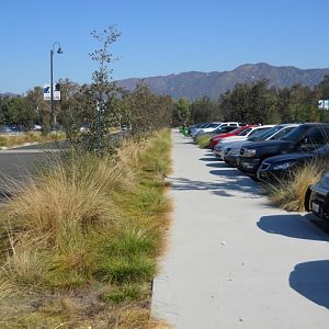 The parking lot that is also a zoo exhibit
