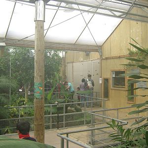 butterfly house