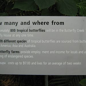 butterfly house