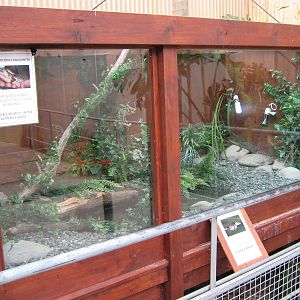 tank for baby saltwater crocodiles