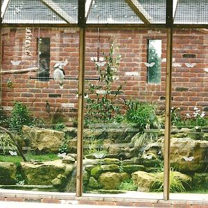 Parrot aviary, 3rd August 2012