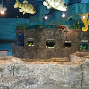 2010 - Touch tanks and smaller tanks