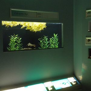 2010 - Life at the Top