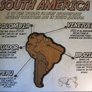 South America and biodiversity