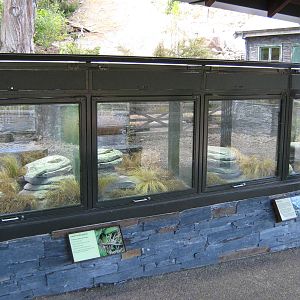 tanks for Otago skinks (Oligosoma otagense)