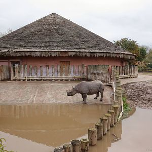 Tsavo Rhino House - Flooded Underpass - 27/09/2012