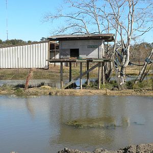 2010 - Lemur Island 2