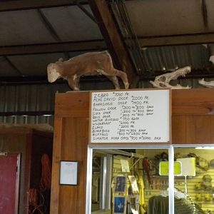 2010 - How much is that...oryx...from the tour?