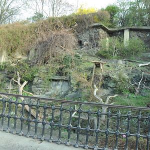 Enclosure for Red pandas (Ailurus fulgens fulgens)