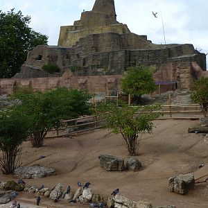 Futile pigeon deterrents, 30th September 2012.