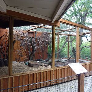 Eurasian eagle owl aviary, 30th September 2012.