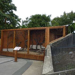 Harris Hawk aviary, 30th September 2012.