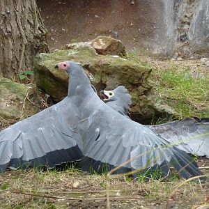 Time for a break? 30th September 2012.