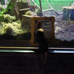 So the education programme works. 30th September 2012.